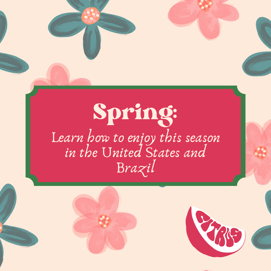 Spring: learn how to enjoy this season in the United States and Brazil!