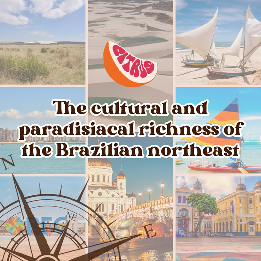 The cultural and paradisiacal richness of the Brazilian northeast