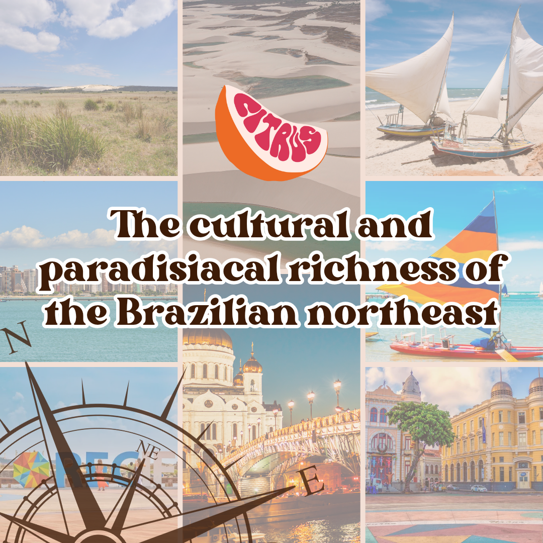 The cultural and paradisiacal richness of the Brazilian northeast
