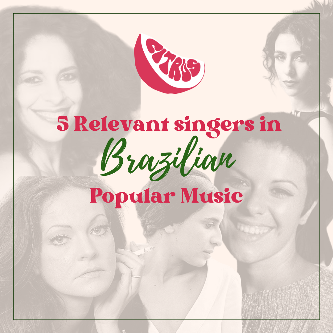 5 Relevant singers in Brazilian popular music