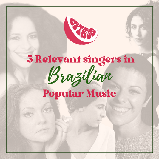 5 Relevant singers in Brazilian popular music